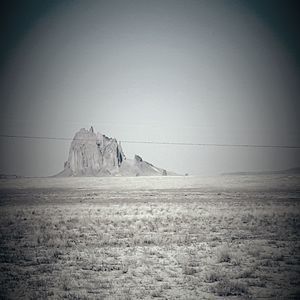 Meet your Posher, Chadwick